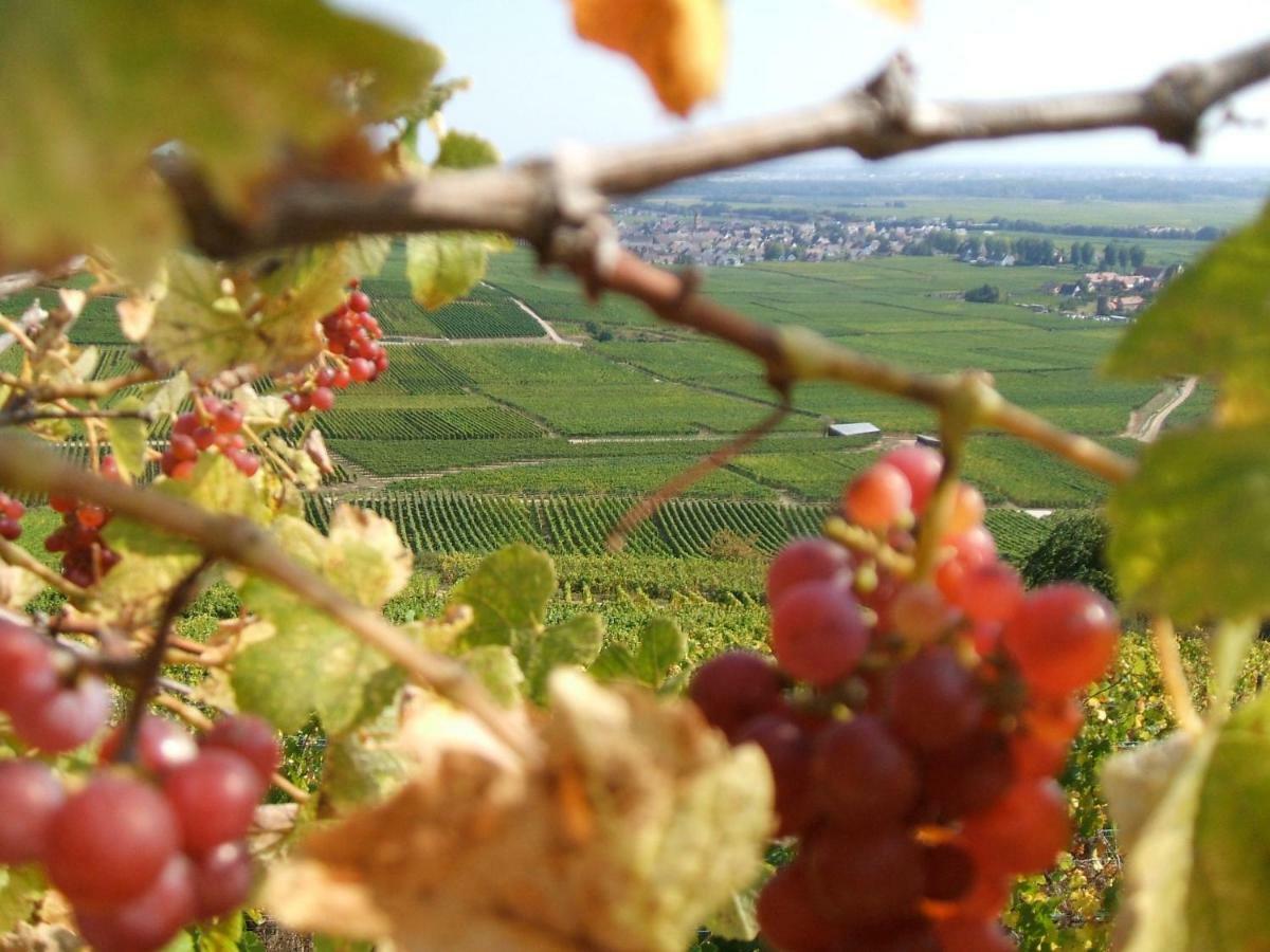 Les Lilas * Ammerschwihr